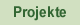 Projekte